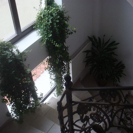 Villa Edera Residence - Gazda Profesionista Boekarest Buitenkant foto