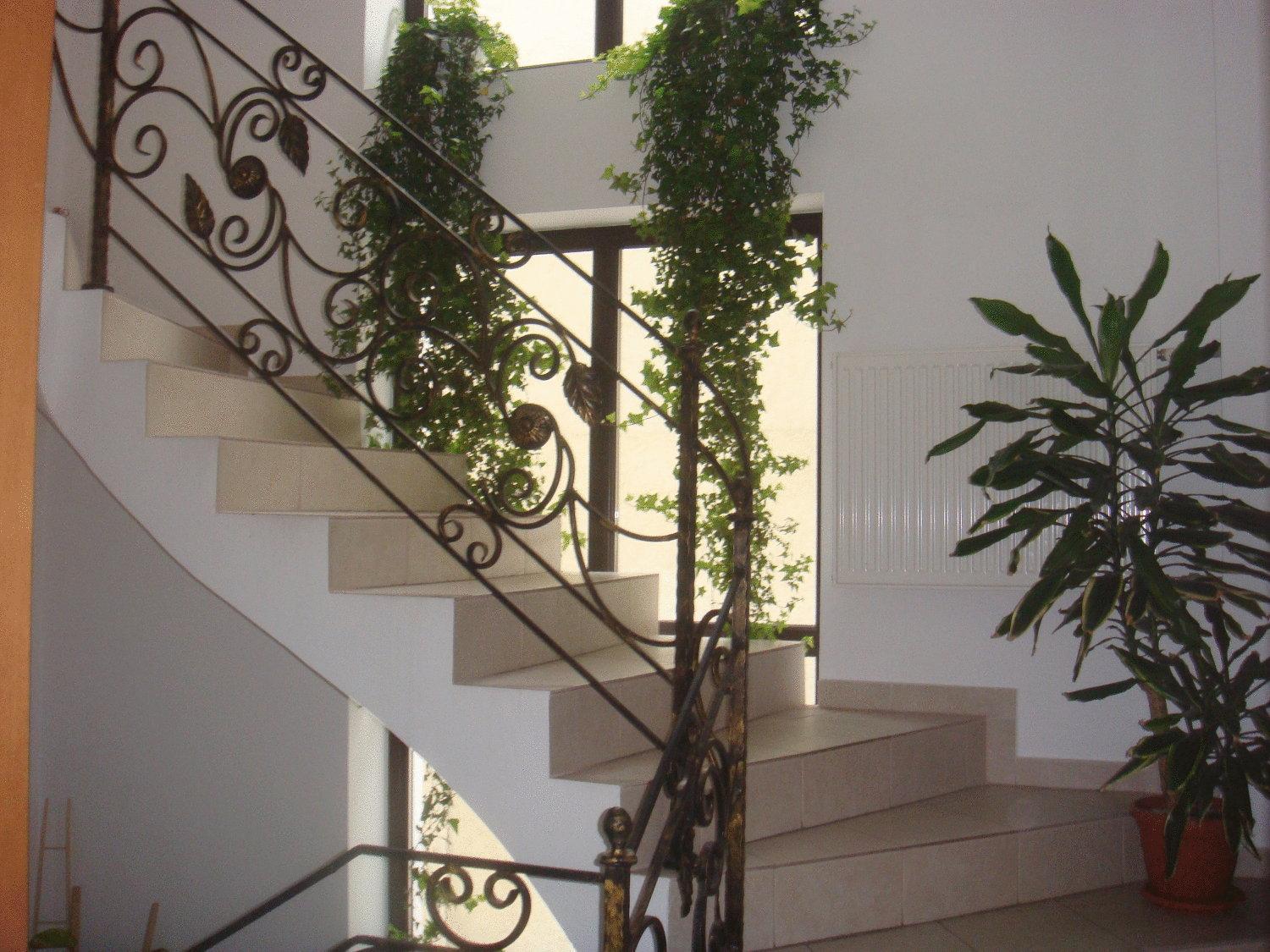 Villa Edera Residence - Gazda Profesionista Boekarest Buitenkant foto